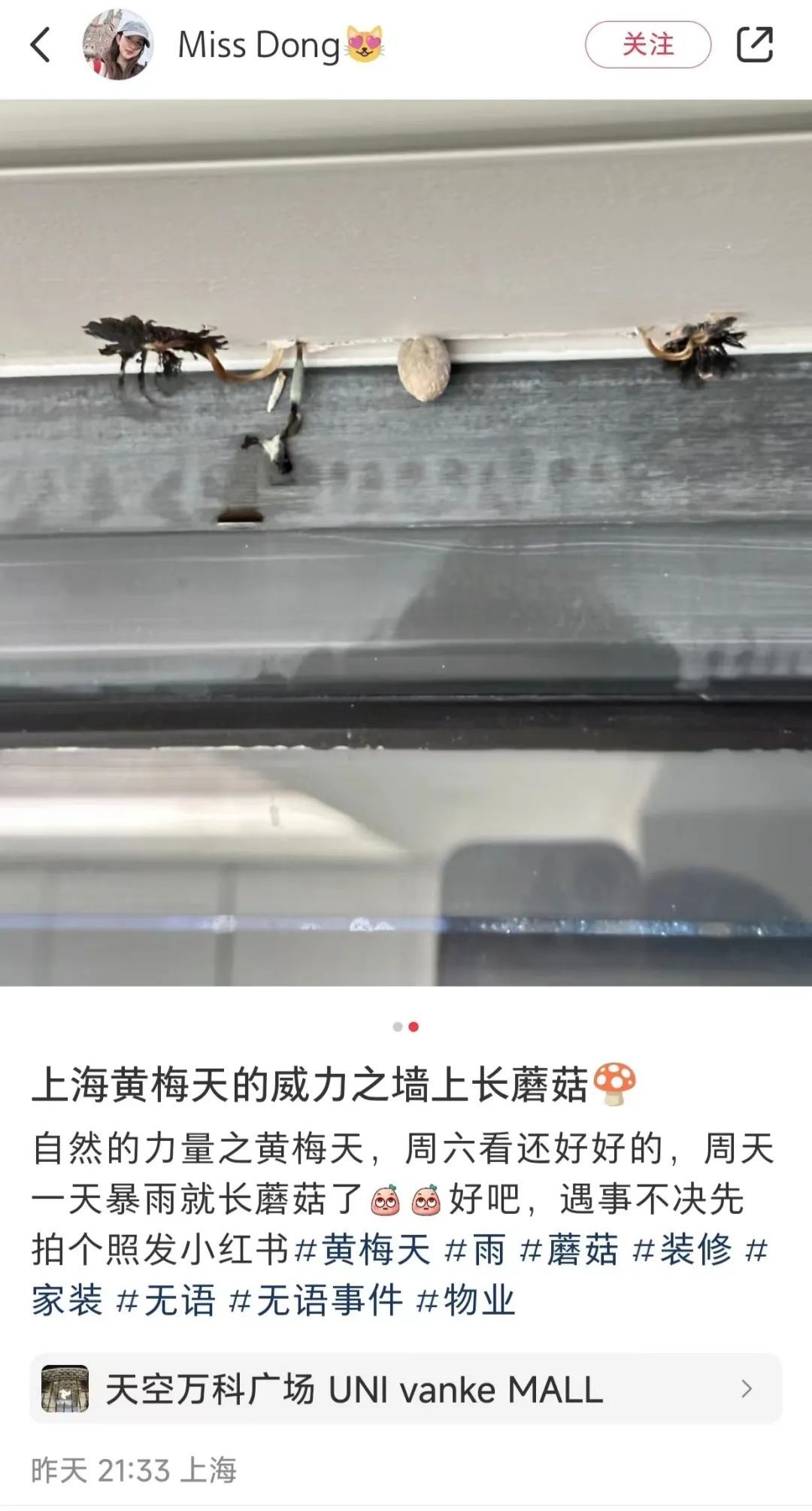 上海将在这天出梅！近期随处可见，网友都在晒，有人馋了，专家急了→