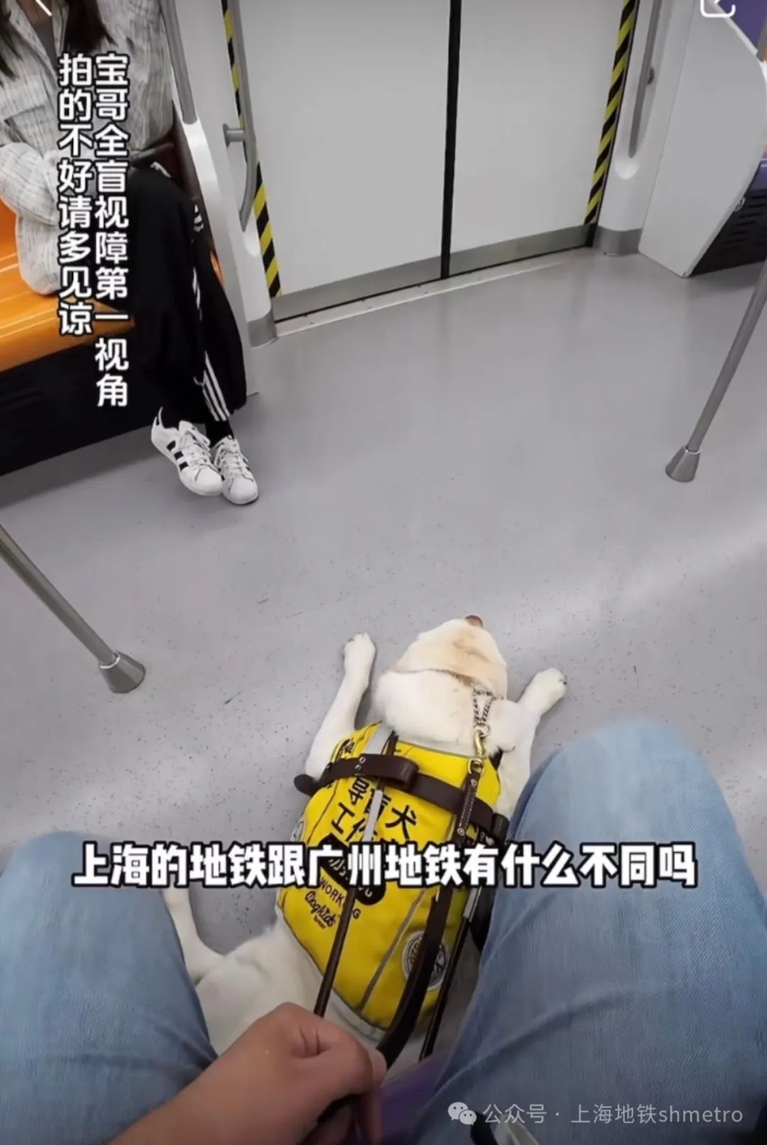 上海地铁这一幕刷屏!网友:看哭了 上海地铁这一幕刷屏!网友:看哭了