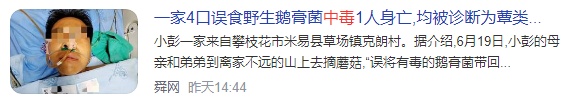 雨后正大量出现,紧急提醒:别碰别吃! 雨后正大量出现,紧急提醒:别碰别吃!
