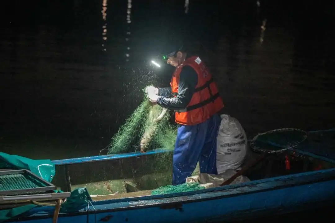 3元一斤！不少人凌晨出动！浙江人终于等到了……