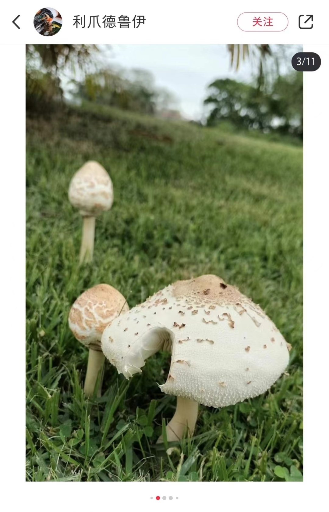 近期暴长!上海网友都在晒!发出灵魂二连问,紧急提醒→ 近期暴长!上海网友都在晒!发出灵魂二连问,紧急提醒→