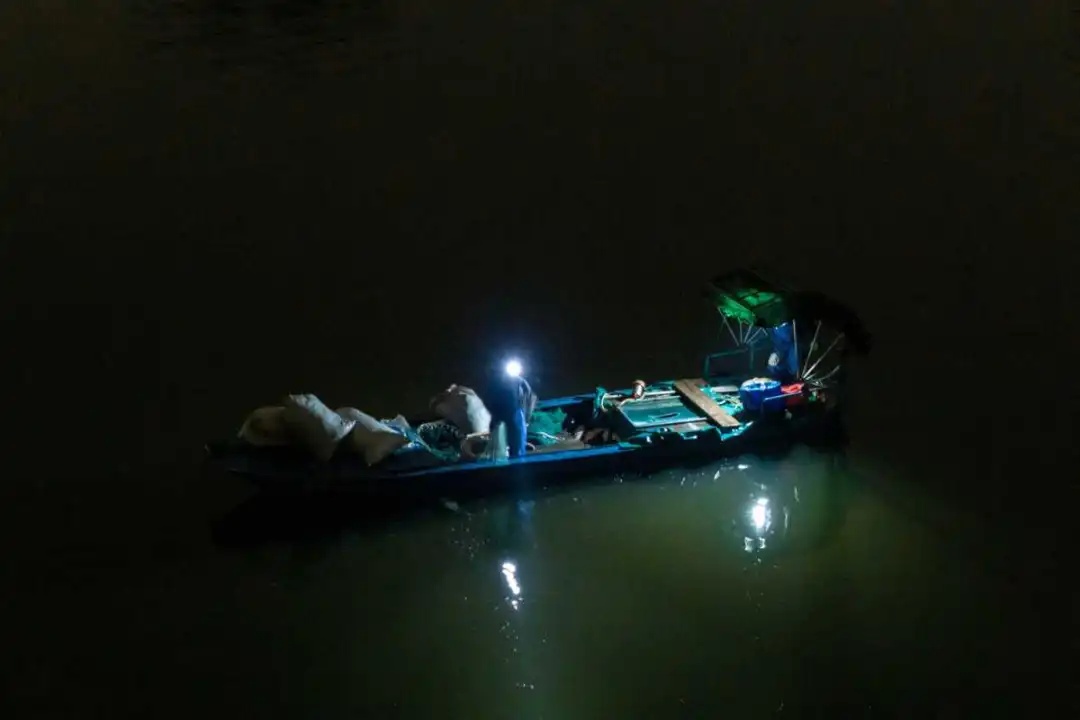 3元一斤！不少人凌晨出动！浙江人终于等到了……