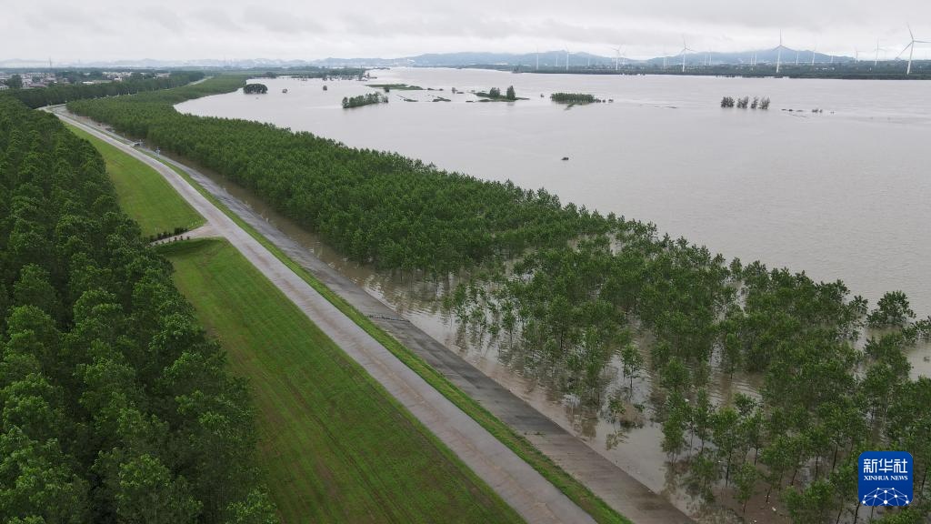 直击安徽省同马大堤防汛一线 直击安徽省同马大堤防汛一线