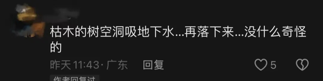 大晴天，永嘉这棵枯树居然会“下雨”！上热搜了→