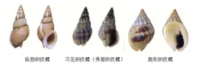 毒性比砒霜高百倍！有人点外卖时发现！