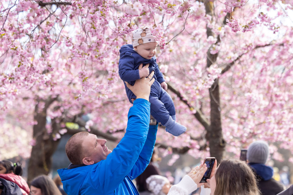 瑞典：祖辈看孩子可获补贴