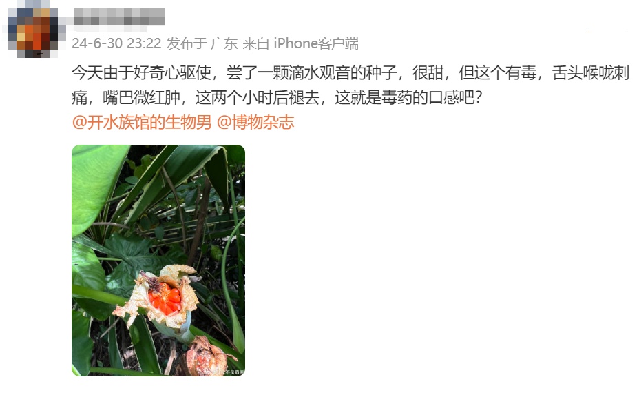 @“大馋小子”“大馋丫头”,我知道你想尝,但不能尝! @“大馋小子”“大馋丫头”,我知道你想尝,但不能尝!