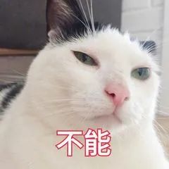 紧急提醒！海口街头大量出现，千万别碰！有的半颗就致命……