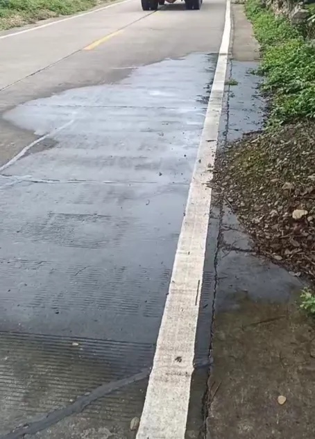大晴天，永嘉这棵枯树居然会“下雨”！上热搜了→