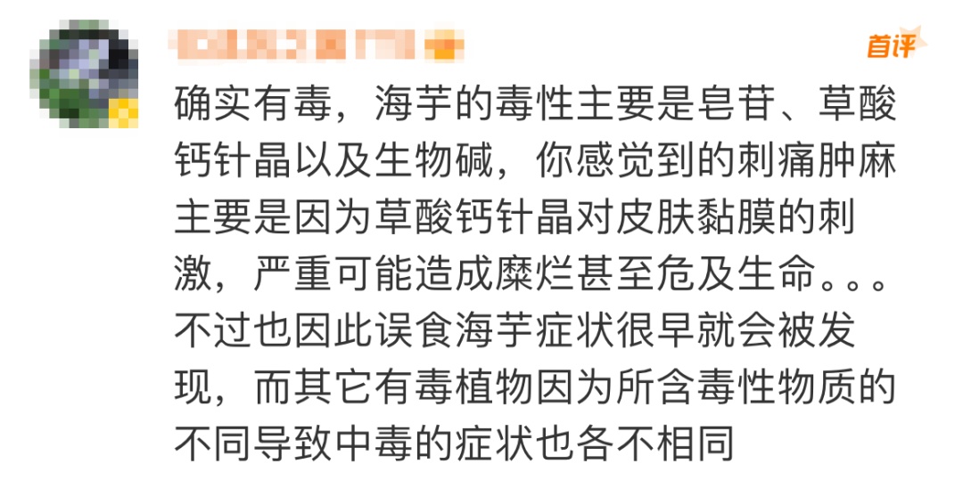 @“大馋小子”“大馋丫头”,我知道你想尝,但不能尝! @“大馋小子”“大馋丫头”,我知道你想尝,但不能尝!