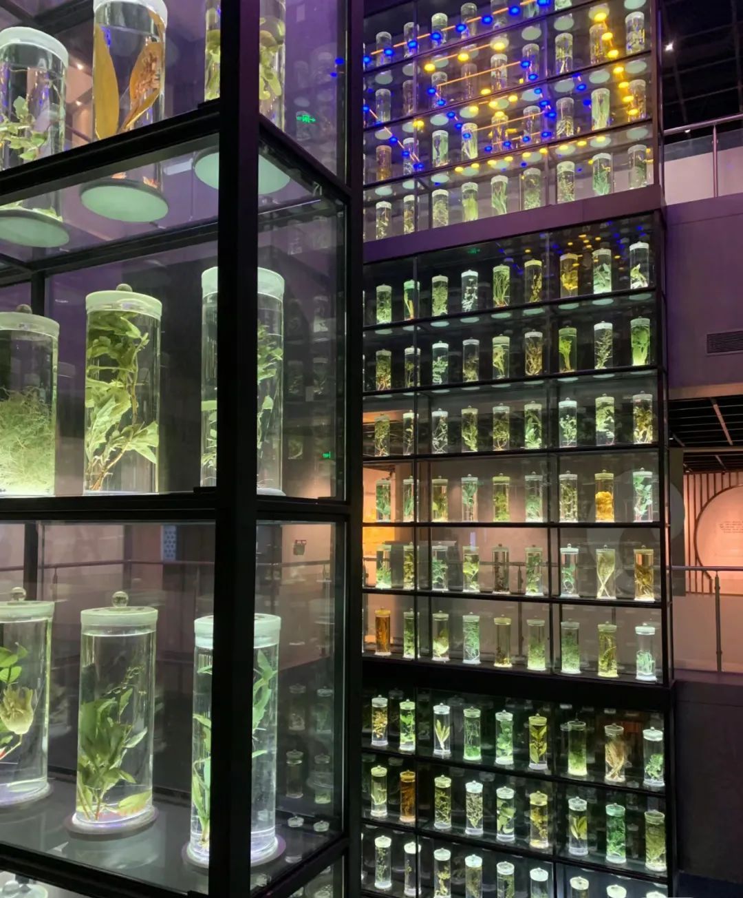 太潮了！一博物馆展品发霉？官方回应了→