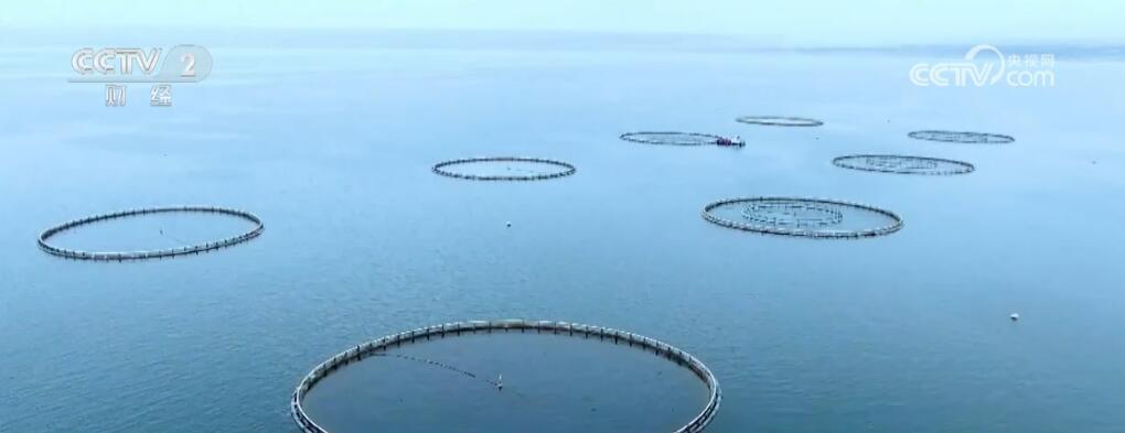 从大食物观探寻地负海涵的“中国粮” 科技赋能“舌尖上的新体验”