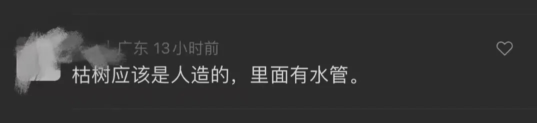 大晴天，永嘉这棵枯树居然会“下雨”！上热搜了→