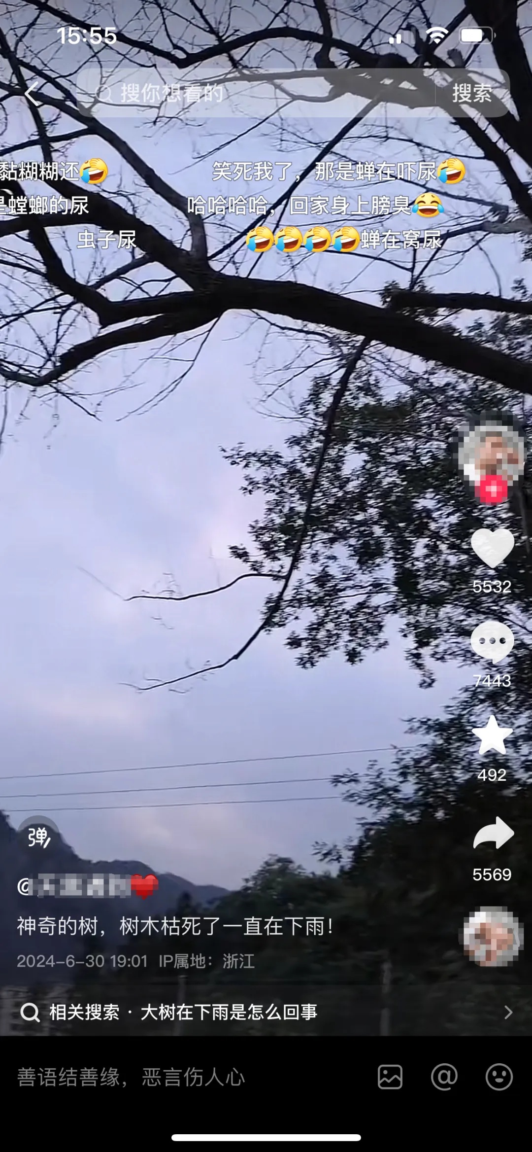 大晴天，永嘉这棵枯树居然会“下雨”！上热搜了→