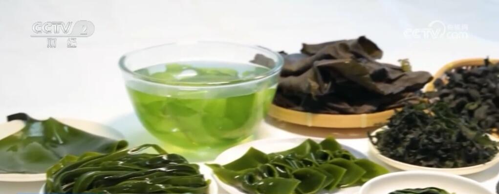 从大食物观探寻地负海涵的“中国粮” 科技赋能“舌尖上的新体验”