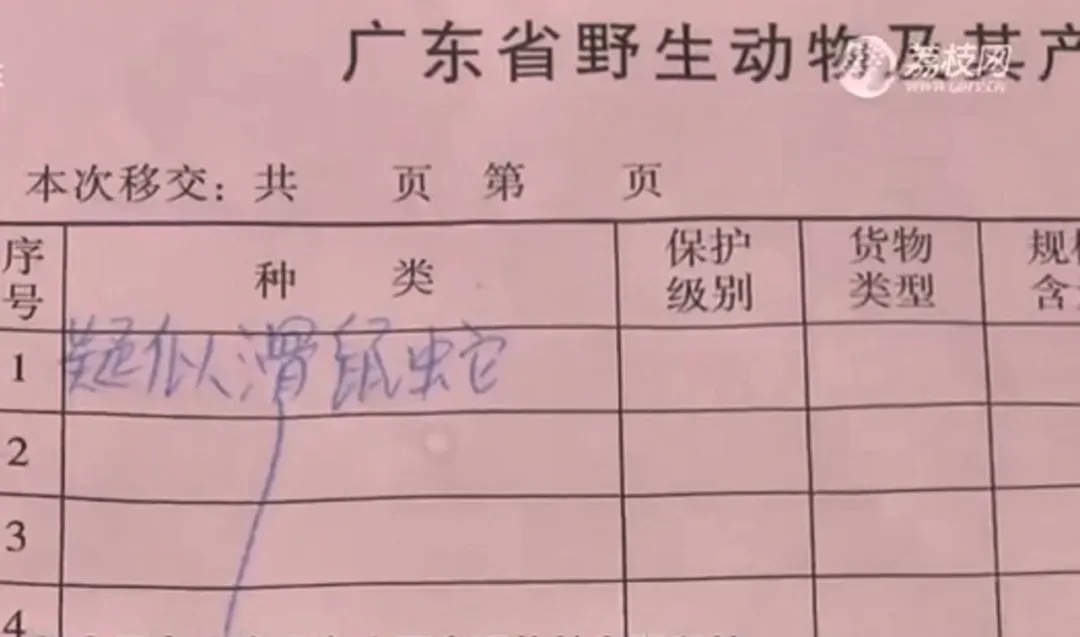 广州荔湾一小区内有蛇出没！遇到蛇怎么办→