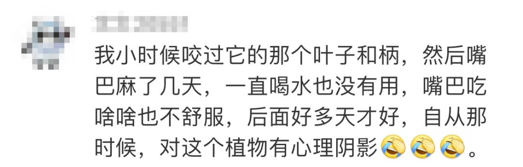 @“大馋小子”“大馋丫头”,我知道你想尝,但不能尝! @“大馋小子”“大馋丫头”,我知道你想尝,但不能尝!