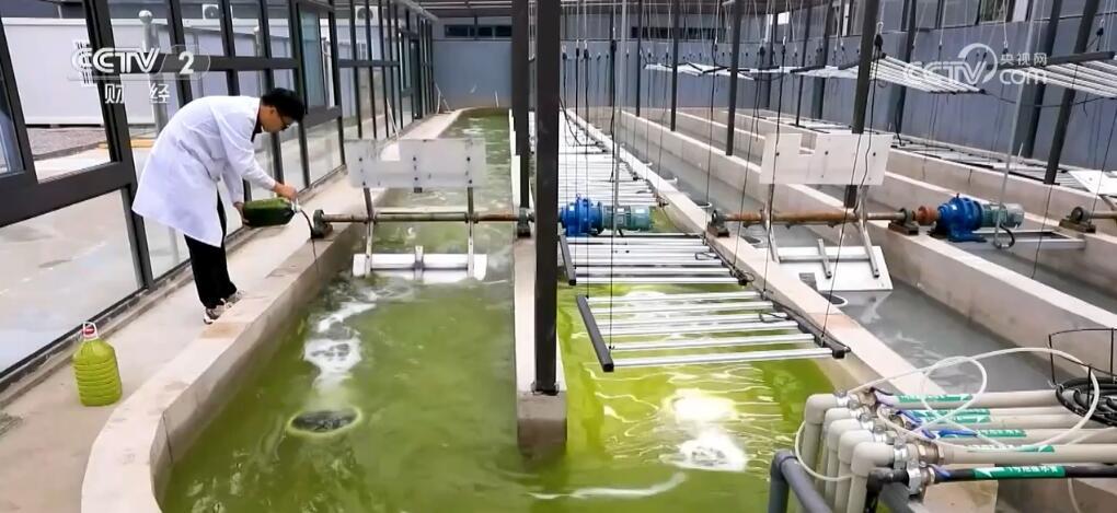 从大食物观探寻地负海涵的“中国粮” 科技赋能“舌尖上的新体验”