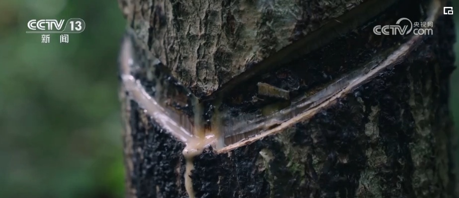 文化中国行 | 千年工艺焕彩现代生活 传递东方文化质感与温度