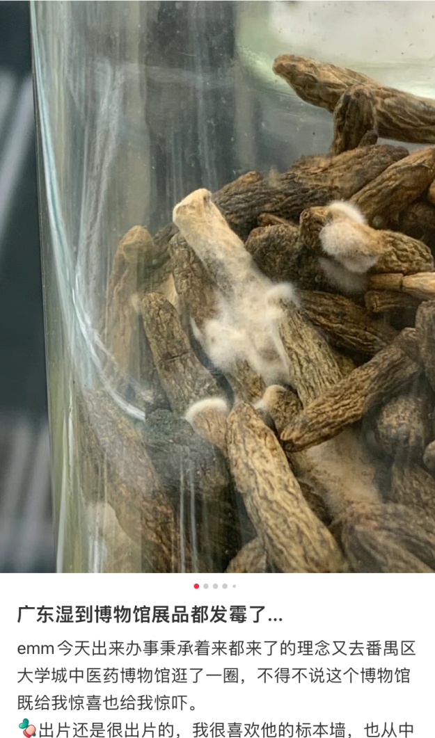 太潮了！一博物馆展品发霉？官方回应了→