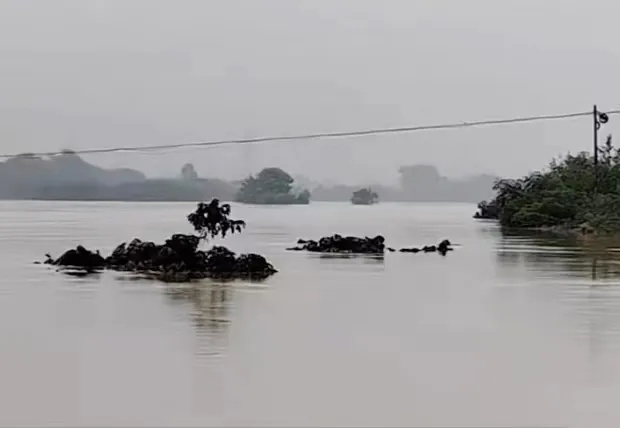 痛心！官方通报：他已确认遇难！