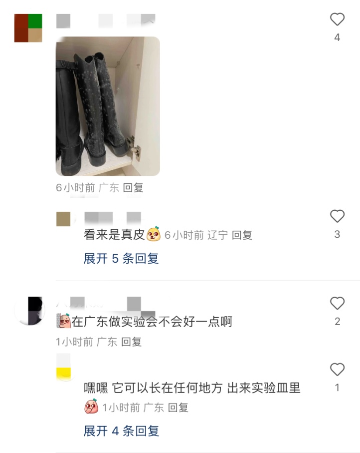 太潮了！一博物馆展品发霉？官方回应了→