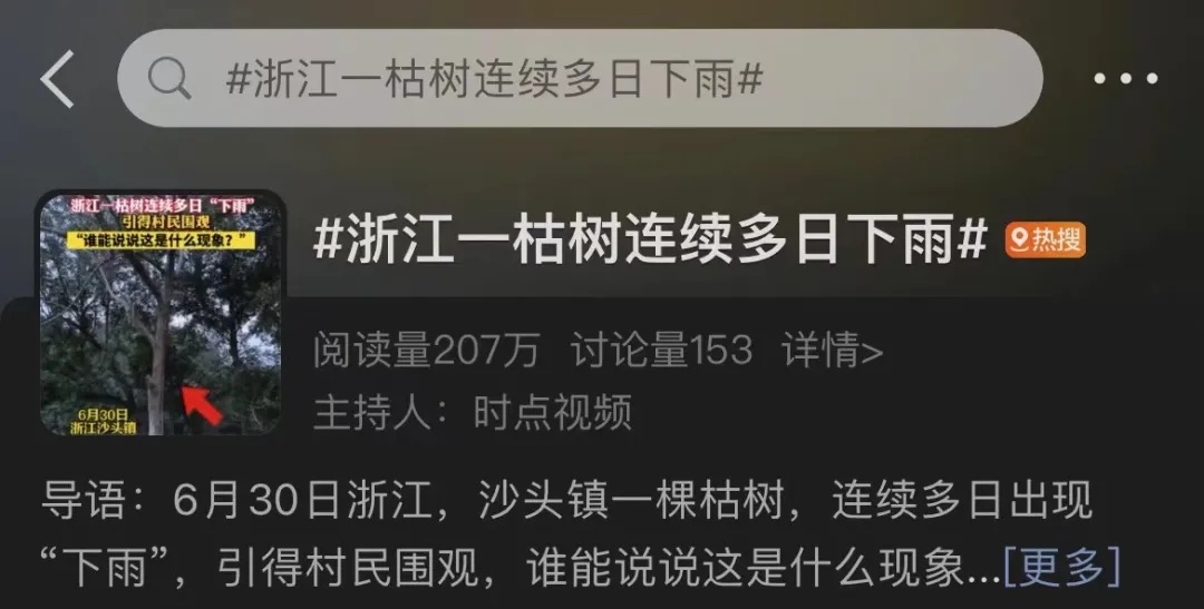 大晴天，永嘉这棵枯树居然会“下雨”！上热搜了→