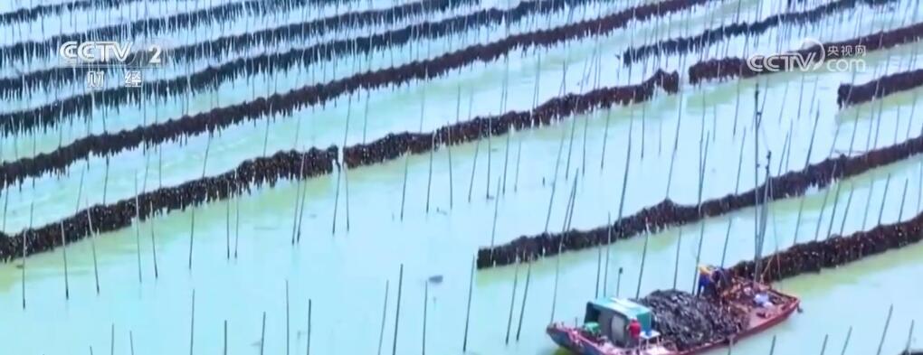 从大食物观探寻地负海涵的“中国粮” 科技赋能“舌尖上的新体验”