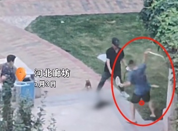 正常遛狗，一男子突然拿滑板车把狗砸晕，称“吓到我小孩了”…