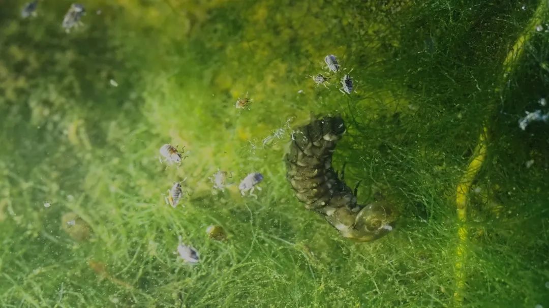 开启夜游，上海这些公园晚上也好玩