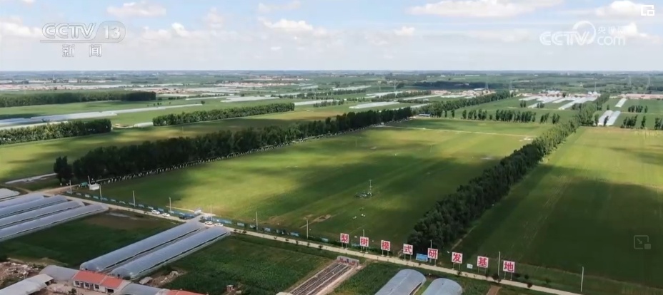 “一地一策”，3.0版！耕地中的“大熊猫”交出“优粮”答卷