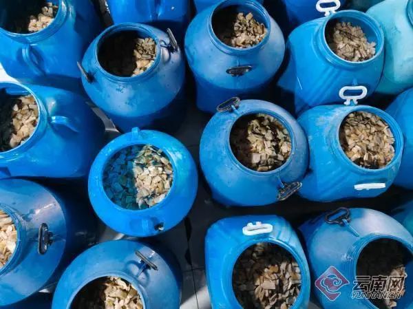 为了让你吃上野生菌,云南人有多拼? 为了让你吃上野生菌,云南人有多拼?