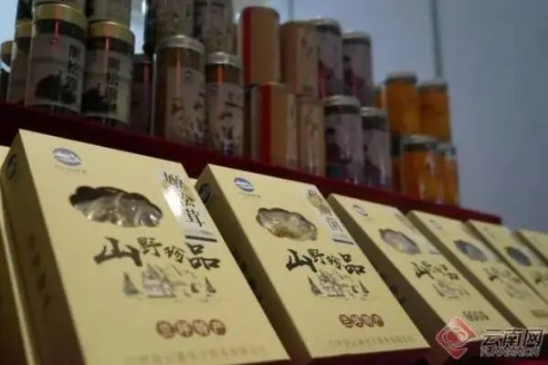 为了让你吃上野生菌,云南人有多拼? 为了让你吃上野生菌,云南人有多拼?