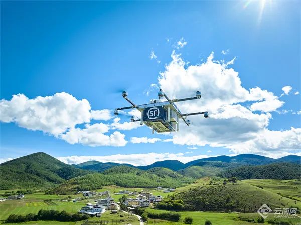 为了让你吃上野生菌,云南人有多拼? 为了让你吃上野生菌,云南人有多拼?