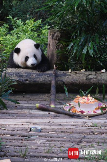 转存收藏！和花和叶生日高清图集