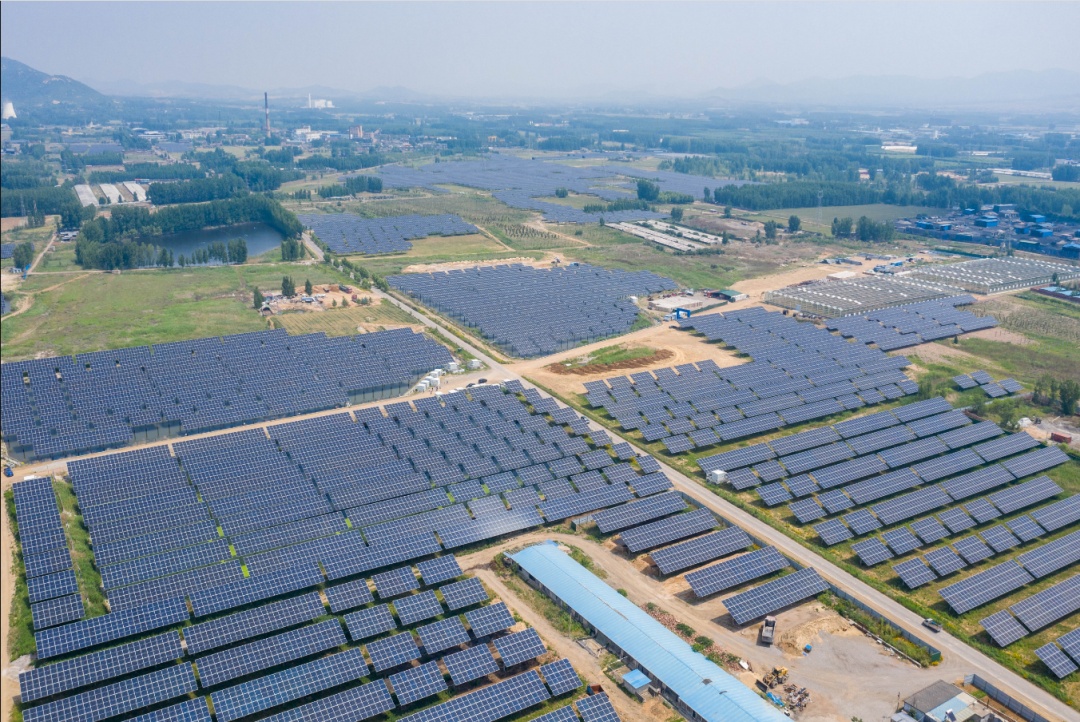 农地里“种太阳”,也要守好红线! 农地里“种太阳”,也要守好红线!