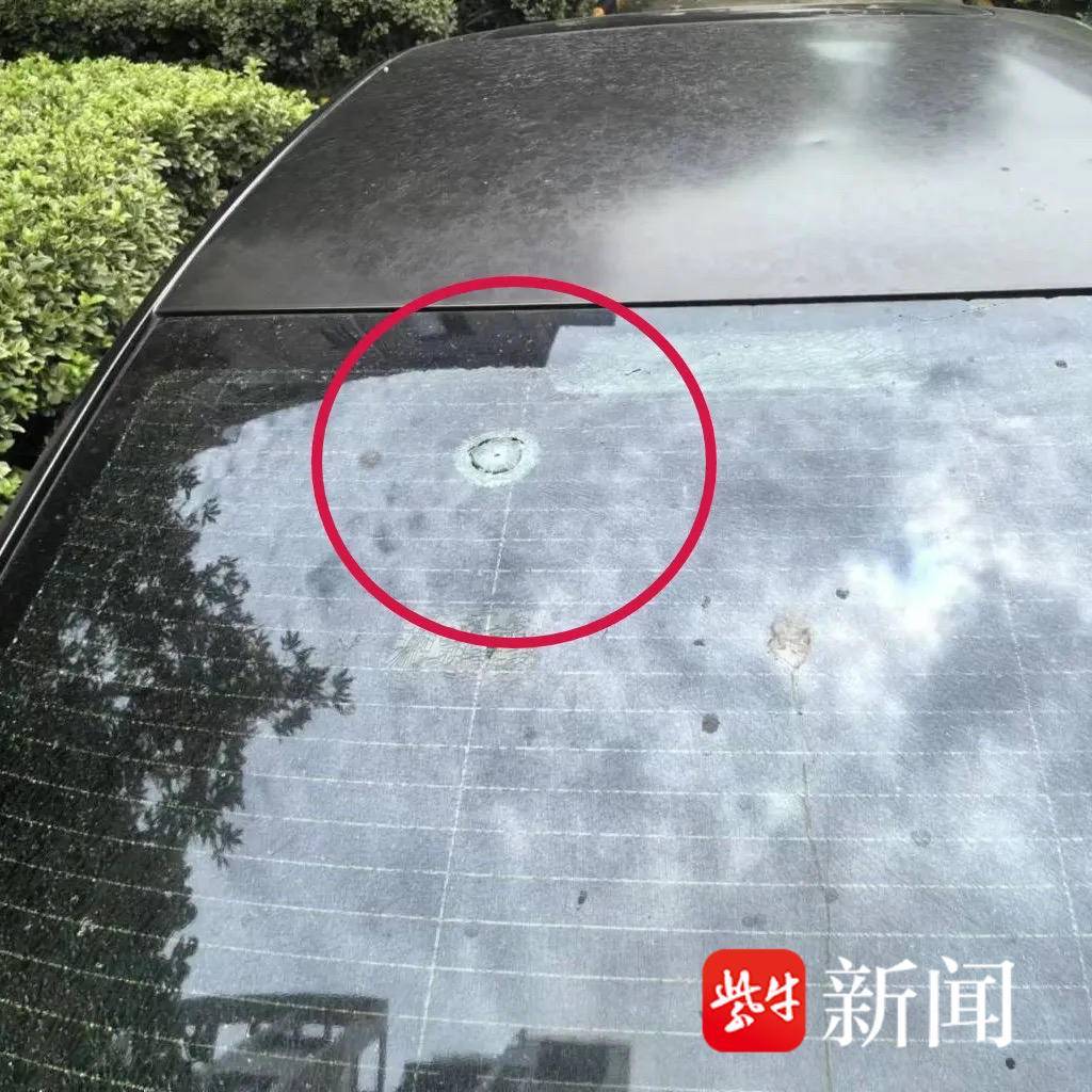 男子沉迷“弹弓”打玻璃,涉嫌危害公共安全被刑拘 男子沉迷“弹弓”打玻璃,涉嫌危害公共安全被刑拘