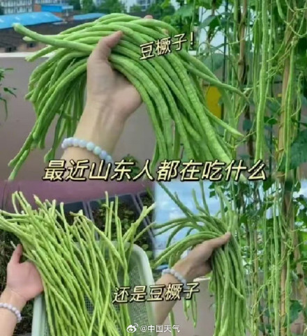 豆橛子统一了山河四省人的夏天餐桌 豆橛子统一了山河四省人的夏天餐桌