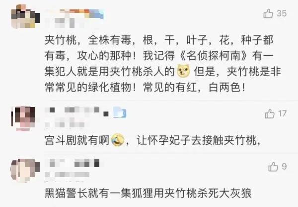 全株有毒!别碰!重庆路边很常见...... 全株有毒!别碰!重庆路边很常见......