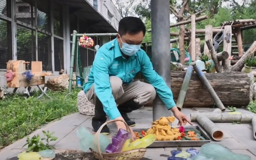 “西直门三太子”生日快乐！蛋糕上有9只“小鸟”