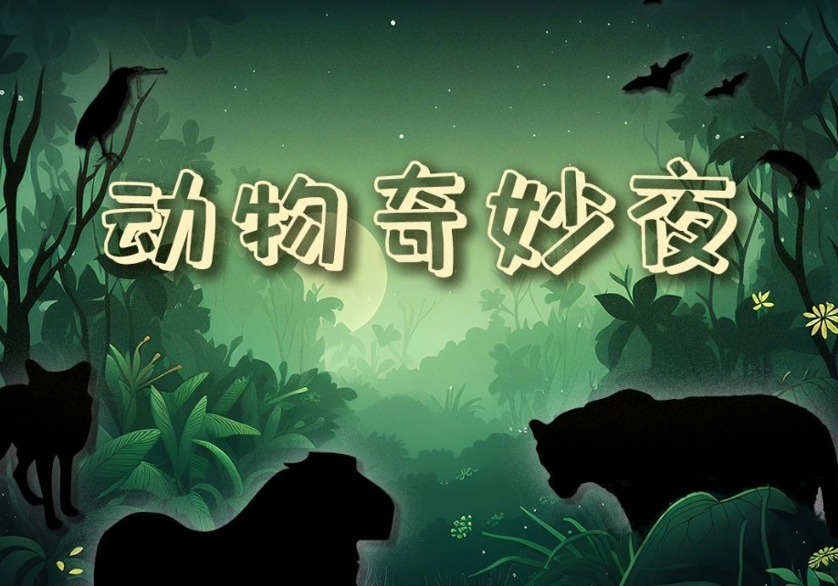 开启夜游，上海这些公园晚上也好玩