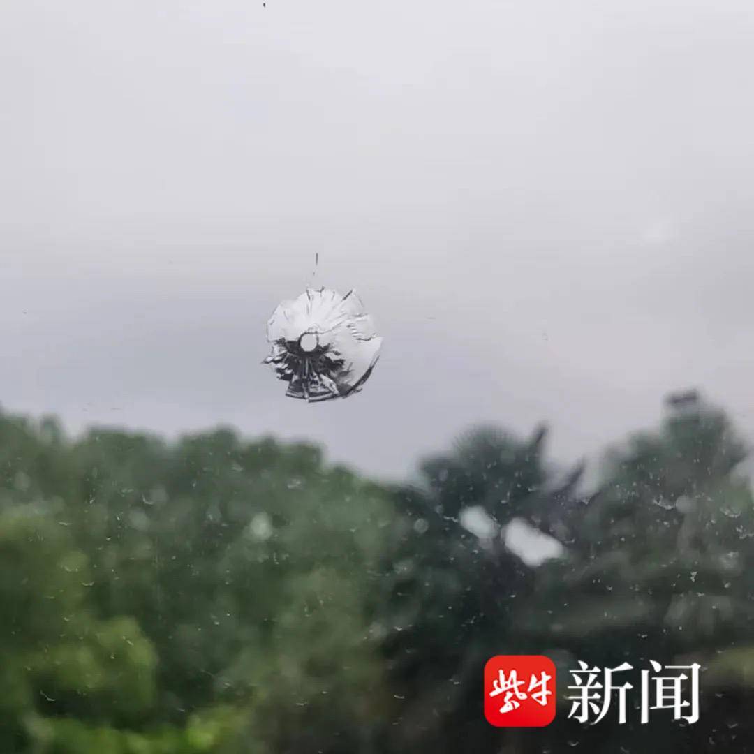 男子沉迷“弹弓”打玻璃,涉嫌危害公共安全被刑拘 男子沉迷“弹弓”打玻璃,涉嫌危害公共安全被刑拘