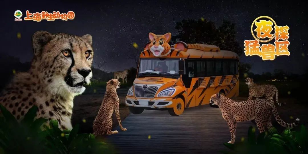 开启夜游，上海这些公园晚上也好玩