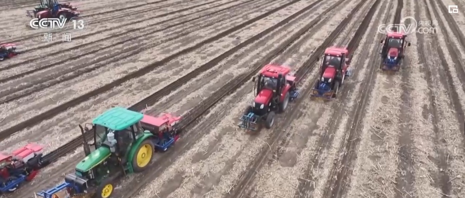 “一地一策”，3.0版！耕地中的“大熊猫”交出“优粮”答卷