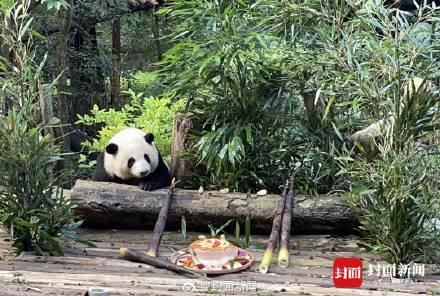 转存收藏！和花和叶生日高清图集