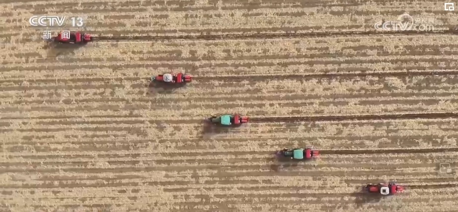 “一地一策”，3.0版！耕地中的“大熊猫”交出“优粮”答卷