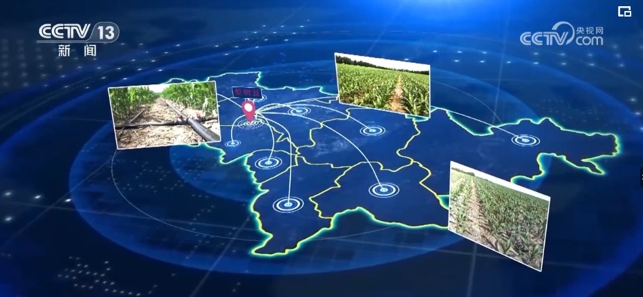 “一地一策”，3.0版！耕地中的“大熊猫”交出“优粮”答卷