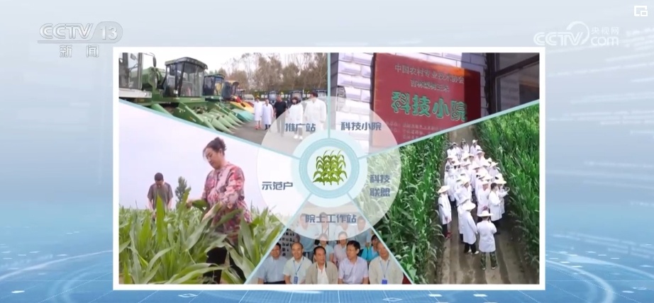 “一地一策”，3.0版！耕地中的“大熊猫”交出“优粮”答卷