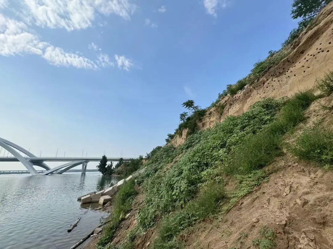 暖心!北京永定河畔,它们的家留住了 暖心!北京永定河畔,它们的家留住了