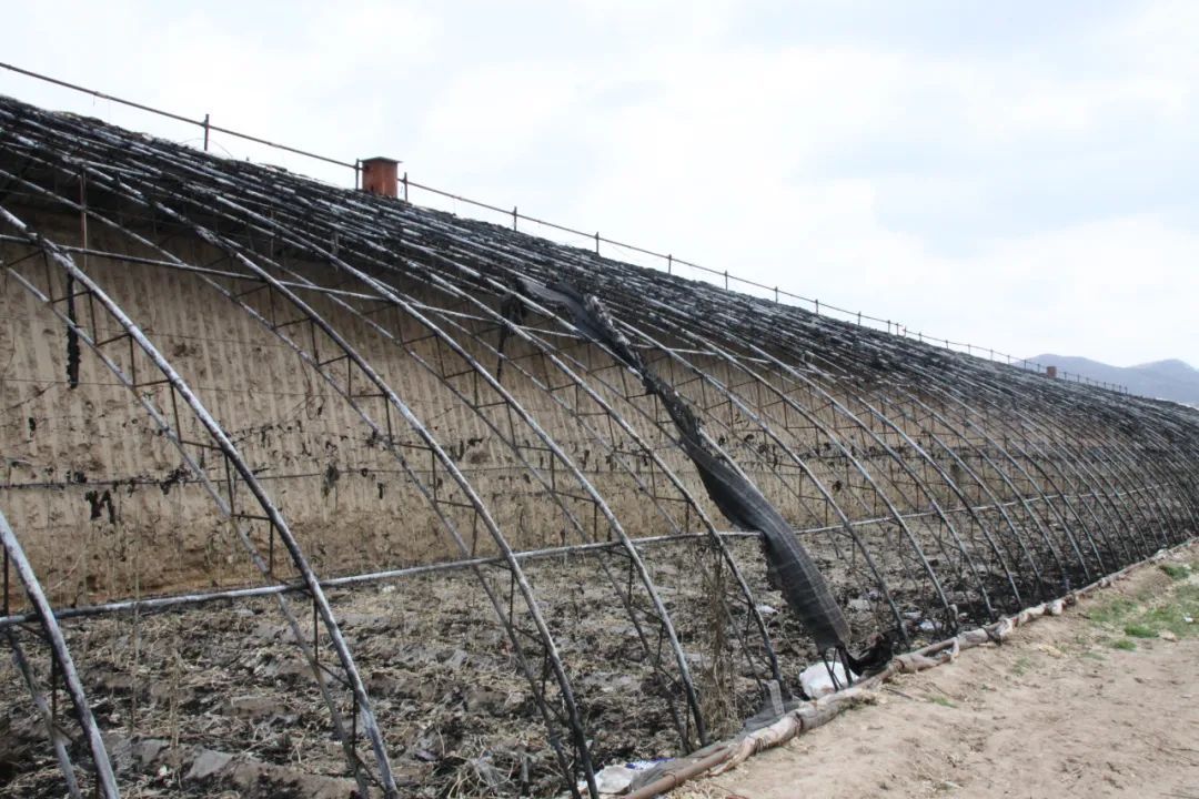 三天能结案的“小案”，为何办了半个月？